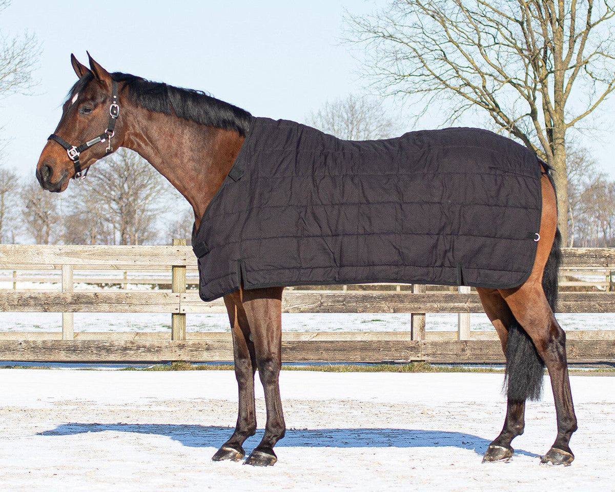 Rug combo set turnout-underrug-neck