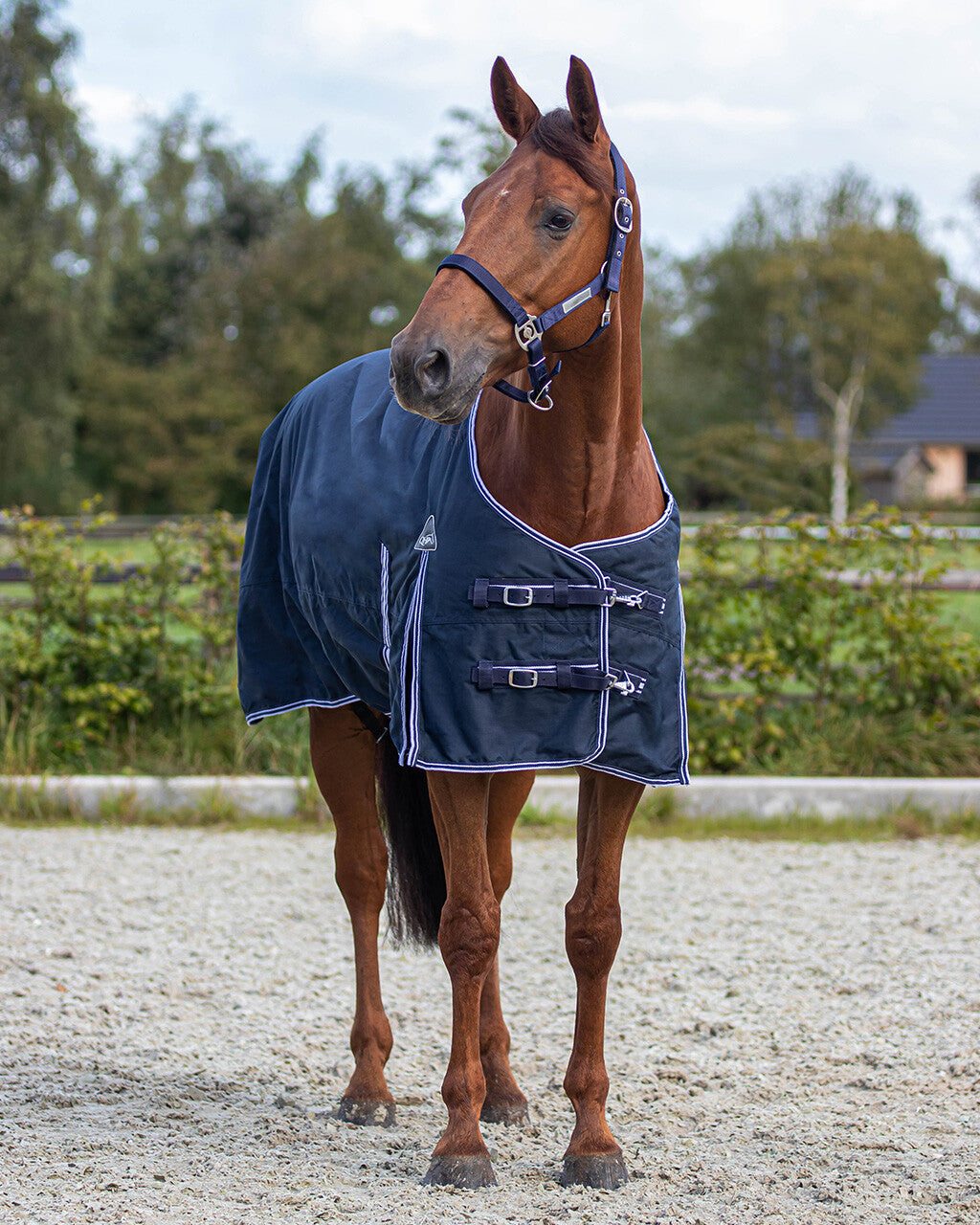 Turnout rug luxury 300gr