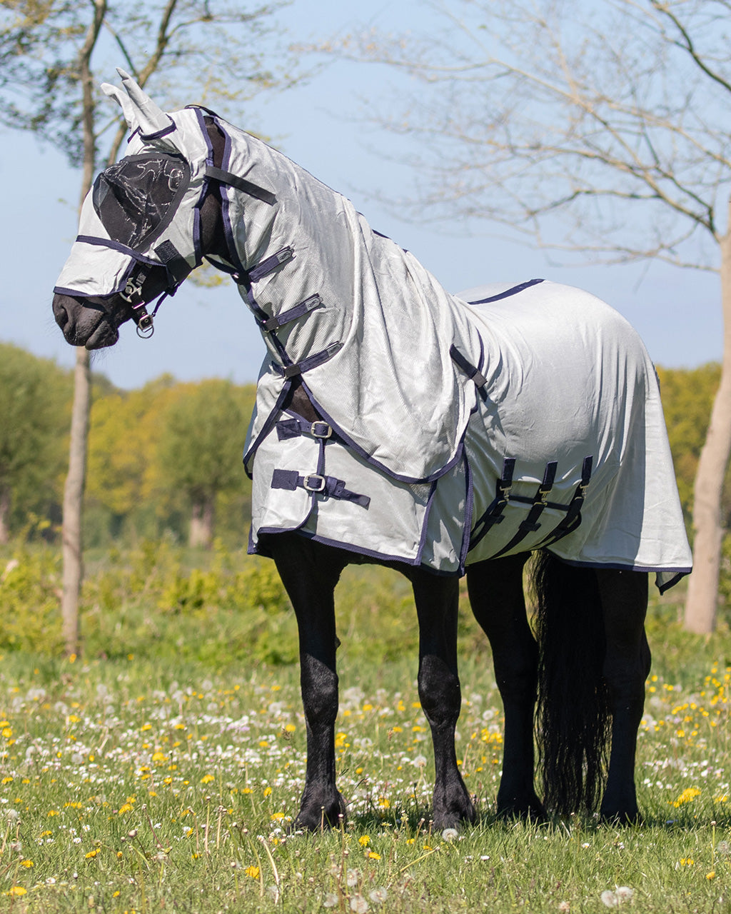 Fly rug with detachable neck and mask Big neck
