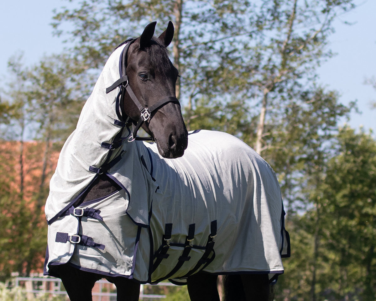 Fly rug with detachable neck and mask Big neck