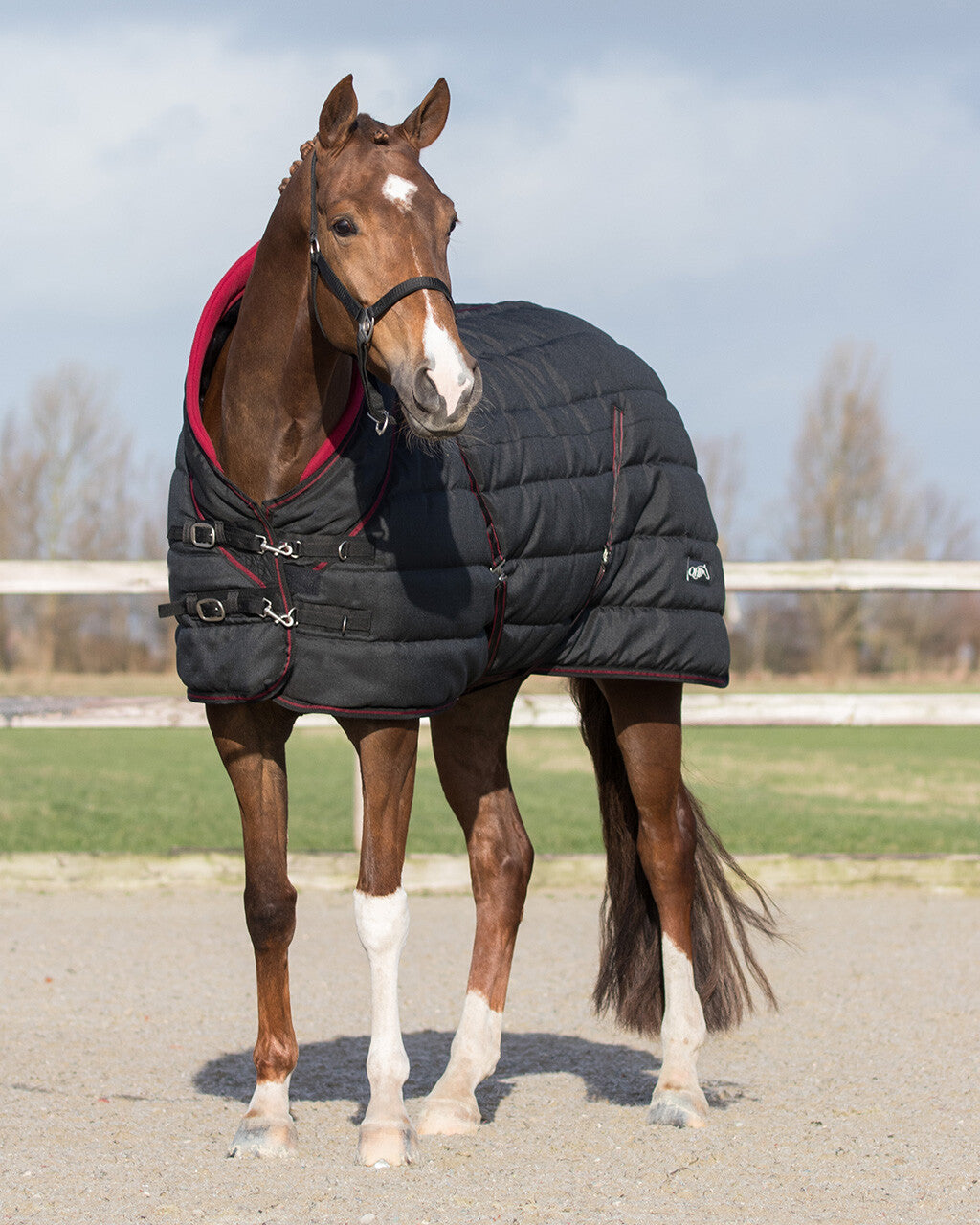 Stable rug luxury Collection 200gr