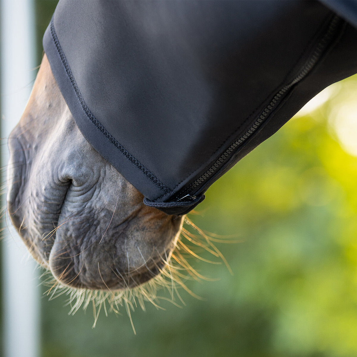 Elastic neckprotector with zipper