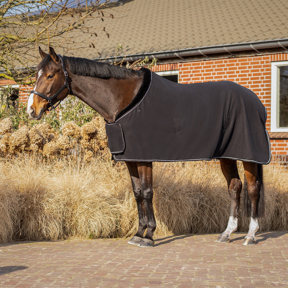 Fleece rug Salerno