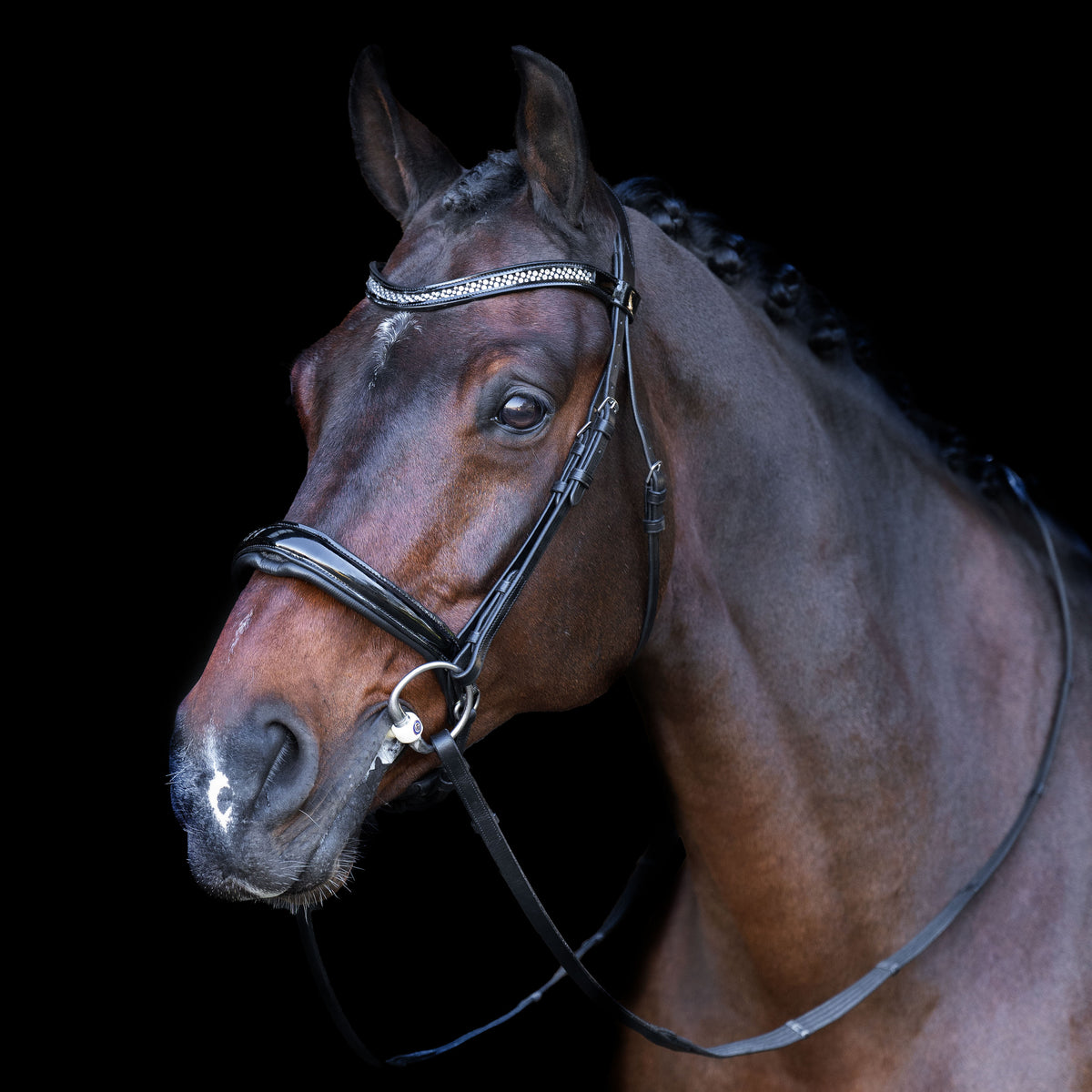 Snaffle bridle with English noseband IRH