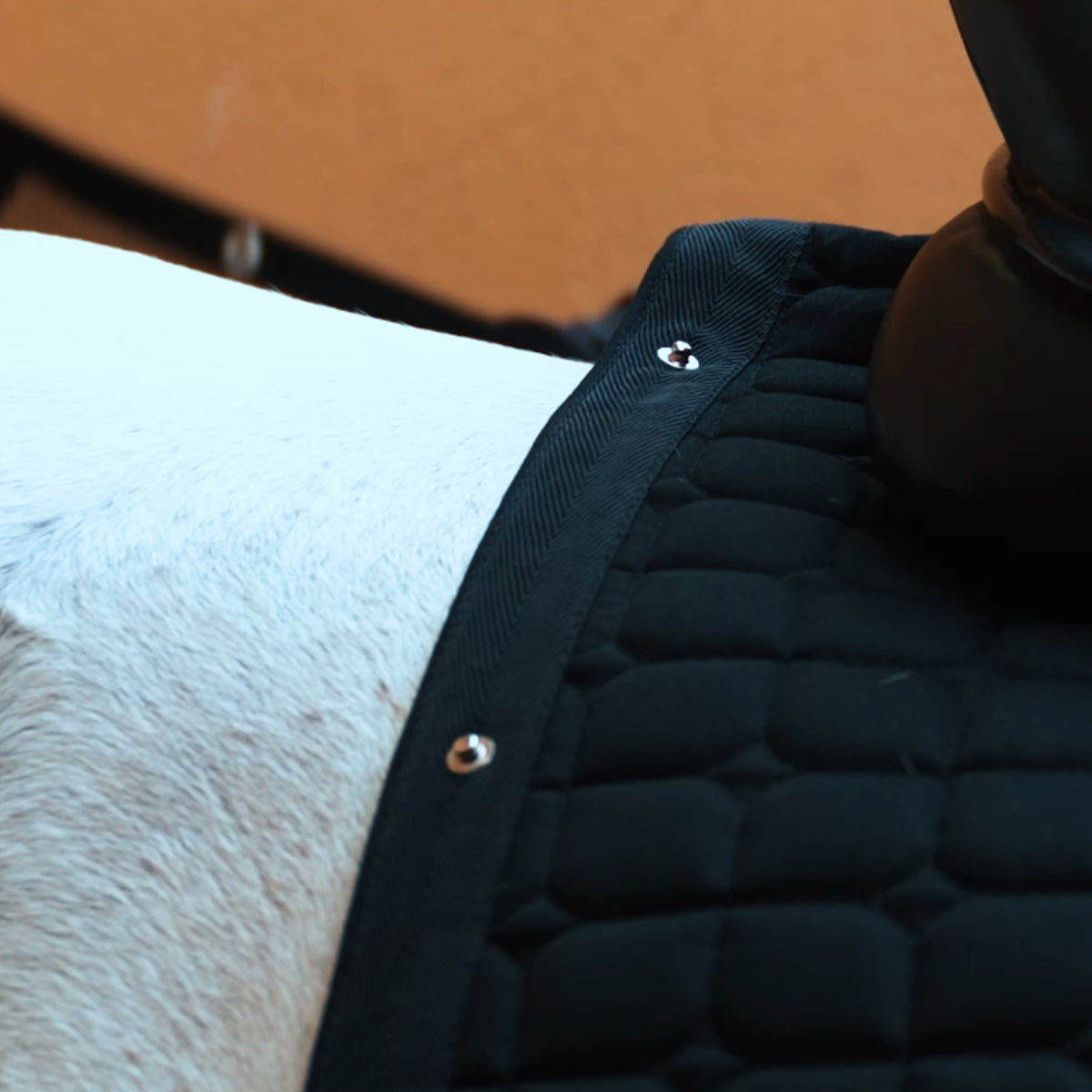 Saddlepad IRHMultiride DR