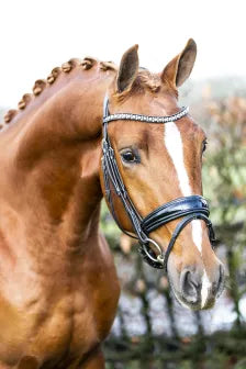 https://www.judi.nl//Files/3/1000/1996/ProductPhotos/448/848795414.jpg.webp