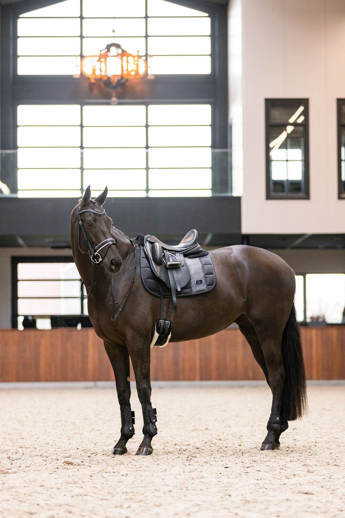 Tendon boots IRHLovely