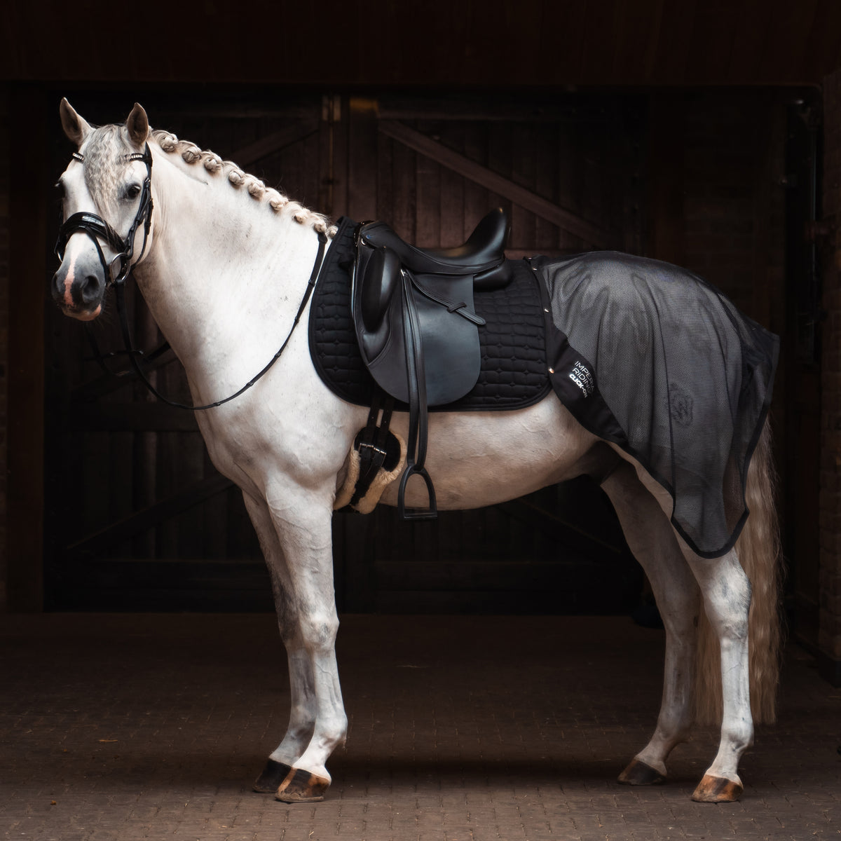 Detachable exercise blanket IRHMultiride