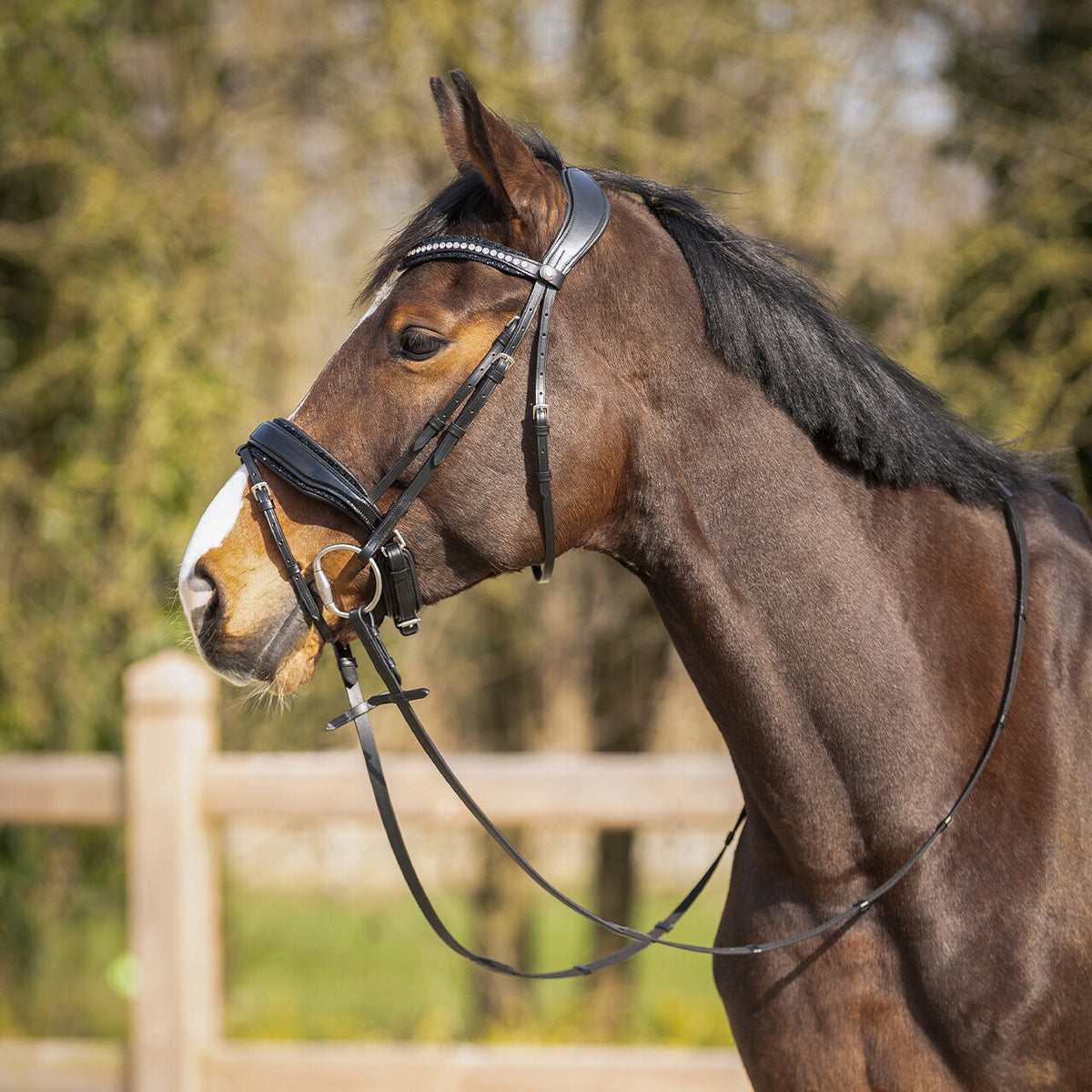 Bridle Skye incl. reins