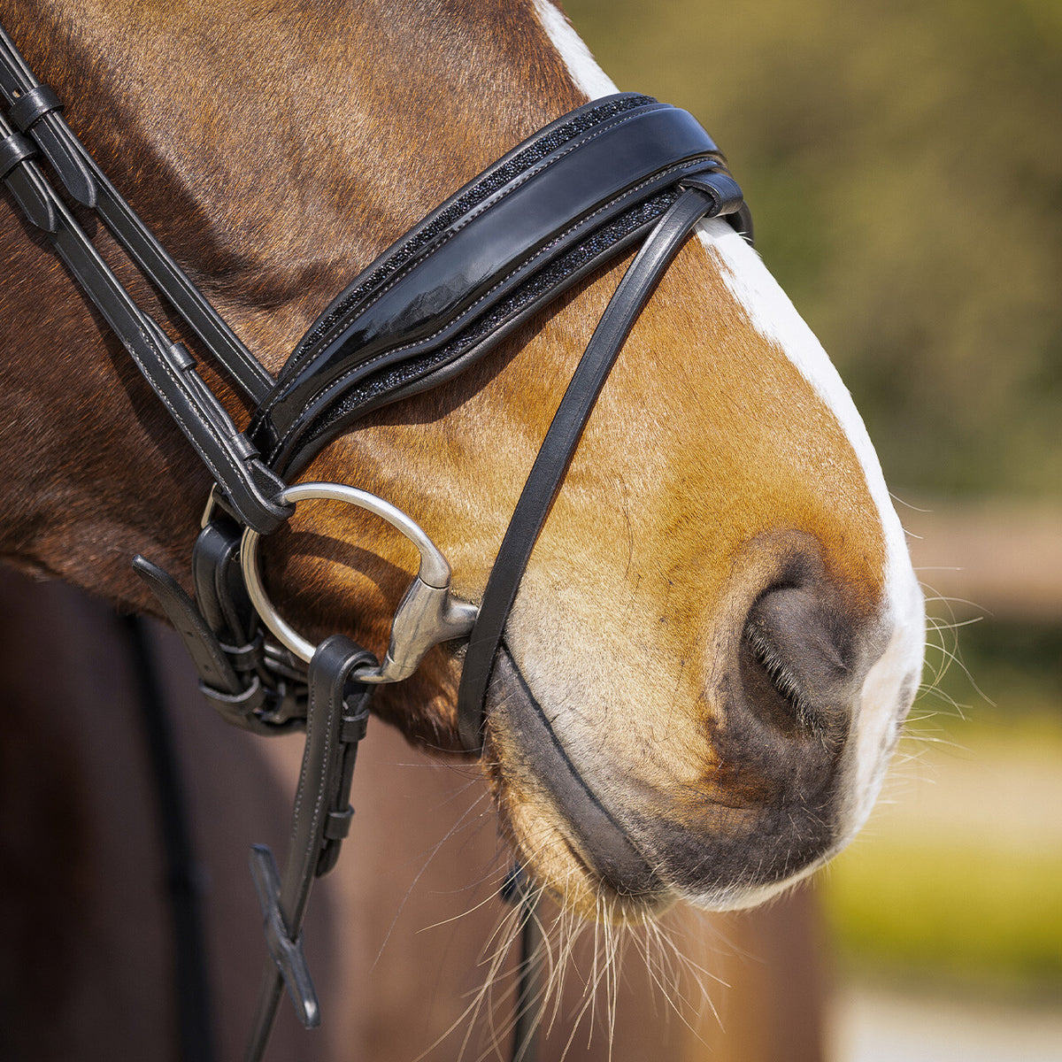 Bridle Skye incl. reins