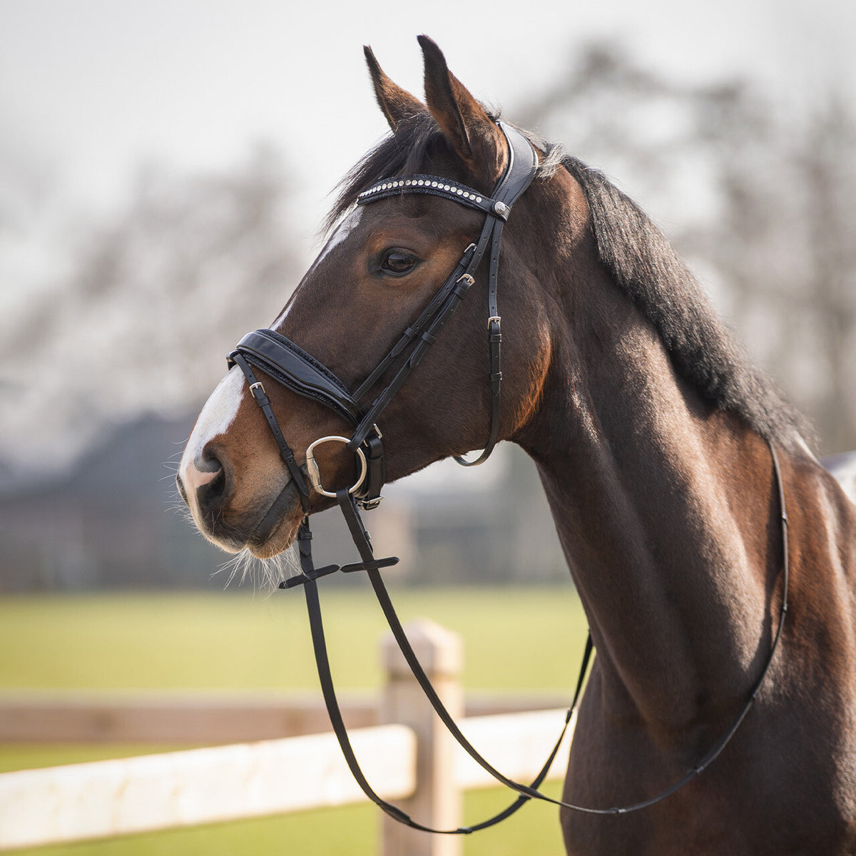 Bridle Skye incl. reins