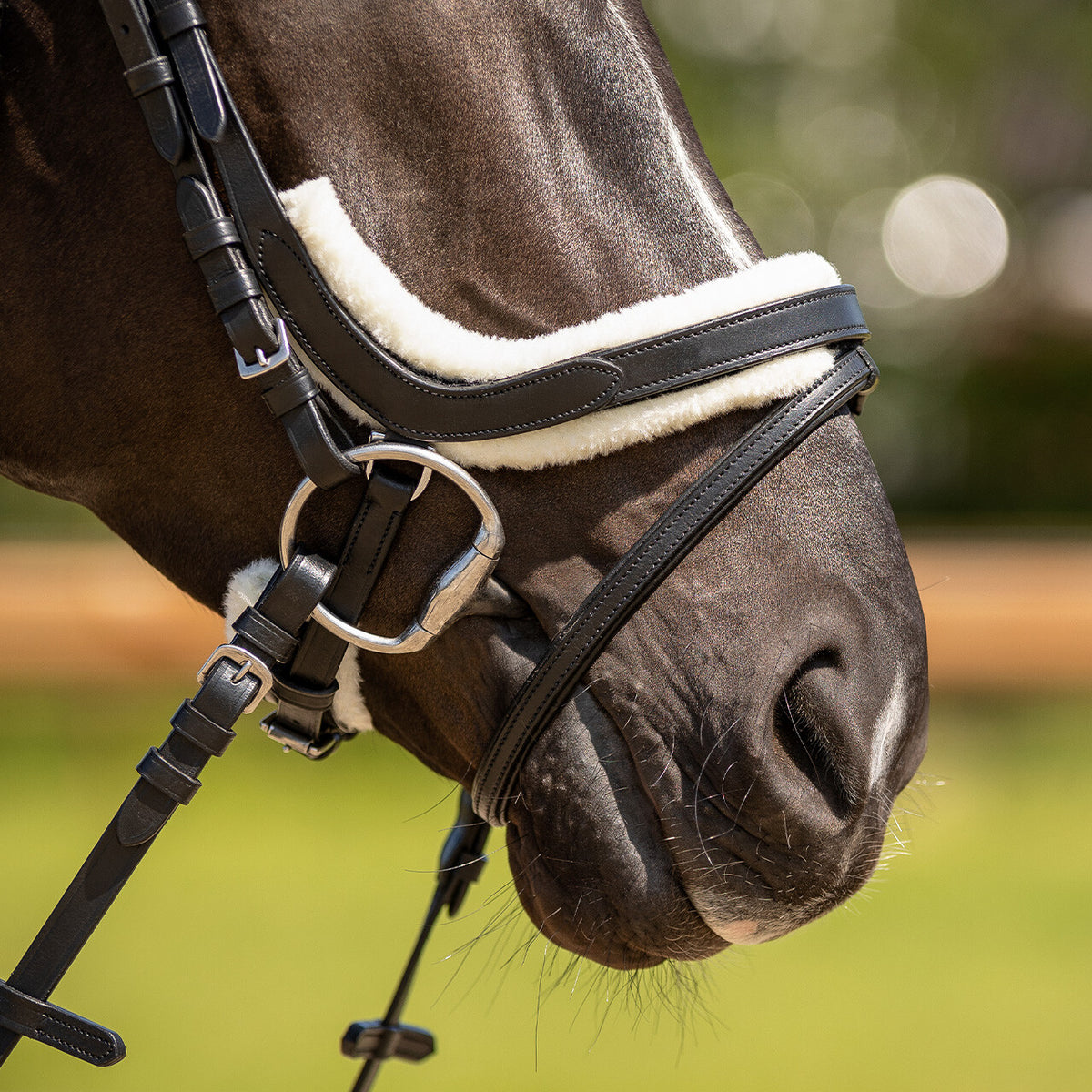 Bridle Sensisoft fur patches