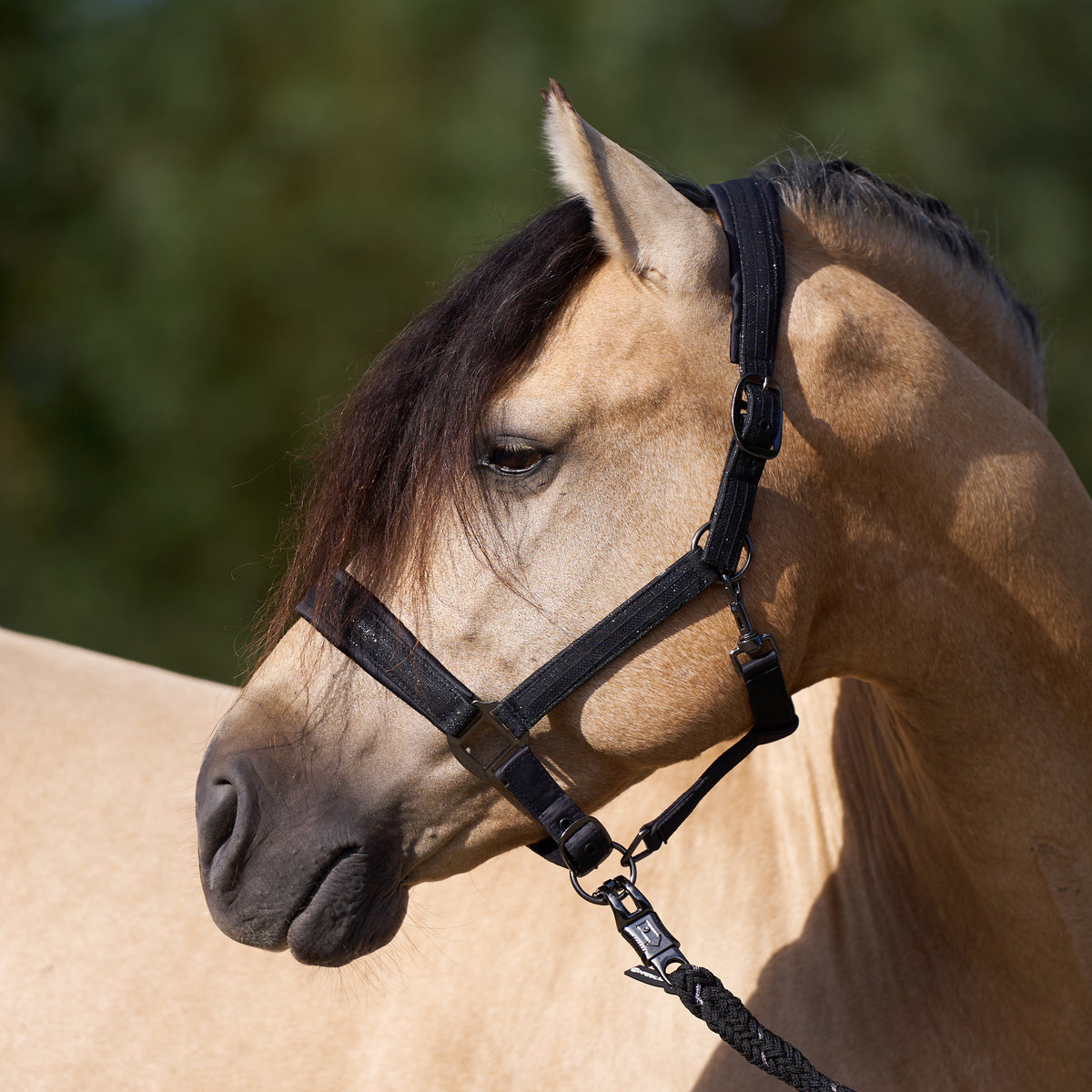 Headcollar IRH Sparkle