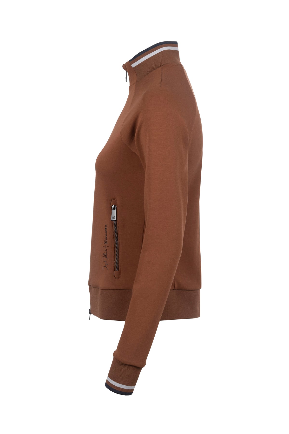 https://www.cavallo.info/media/9c/67/c7/1738756669/A003386_S_29_03.jpg?ts=1755600147
