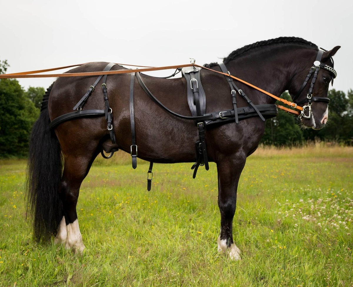 bröstsele “globus drago” läder -  cob
