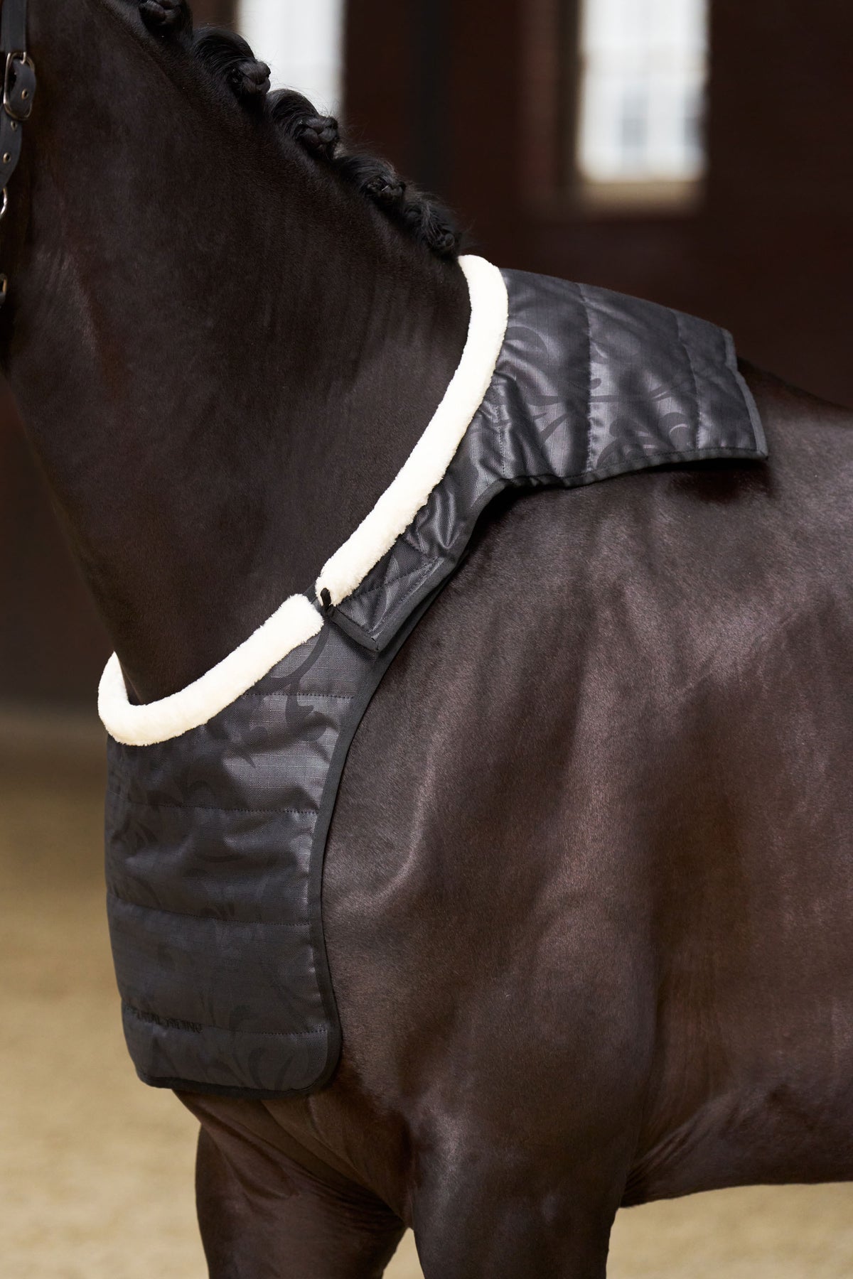 Chest guard IRHSuper-dry Black / C/S