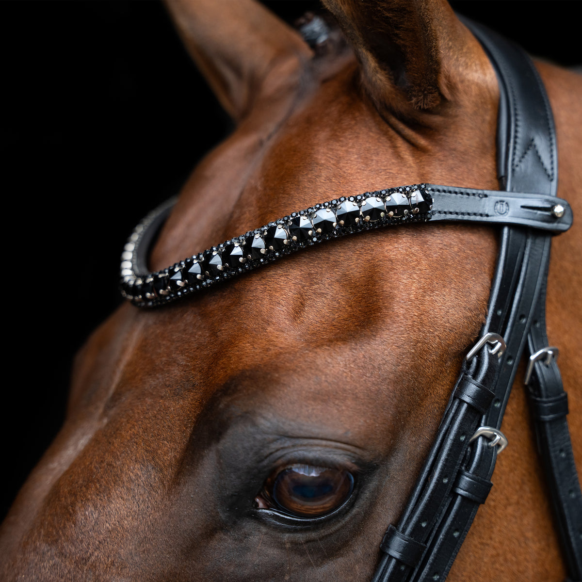Browband IRHGlimmer XL