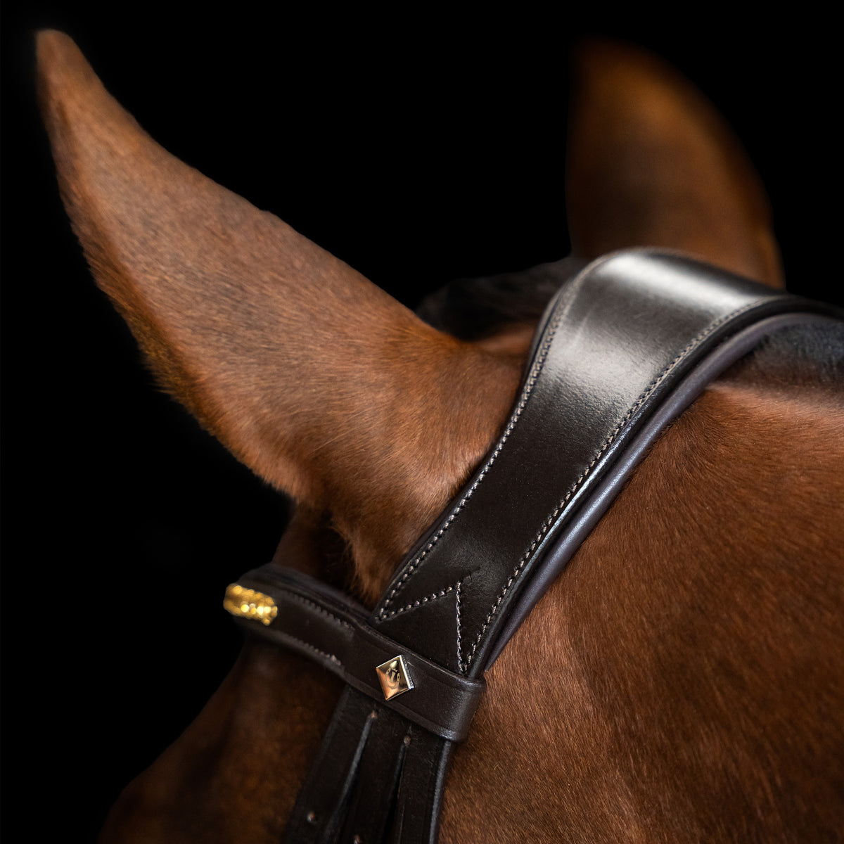 Bridle IRH combined noseband simple