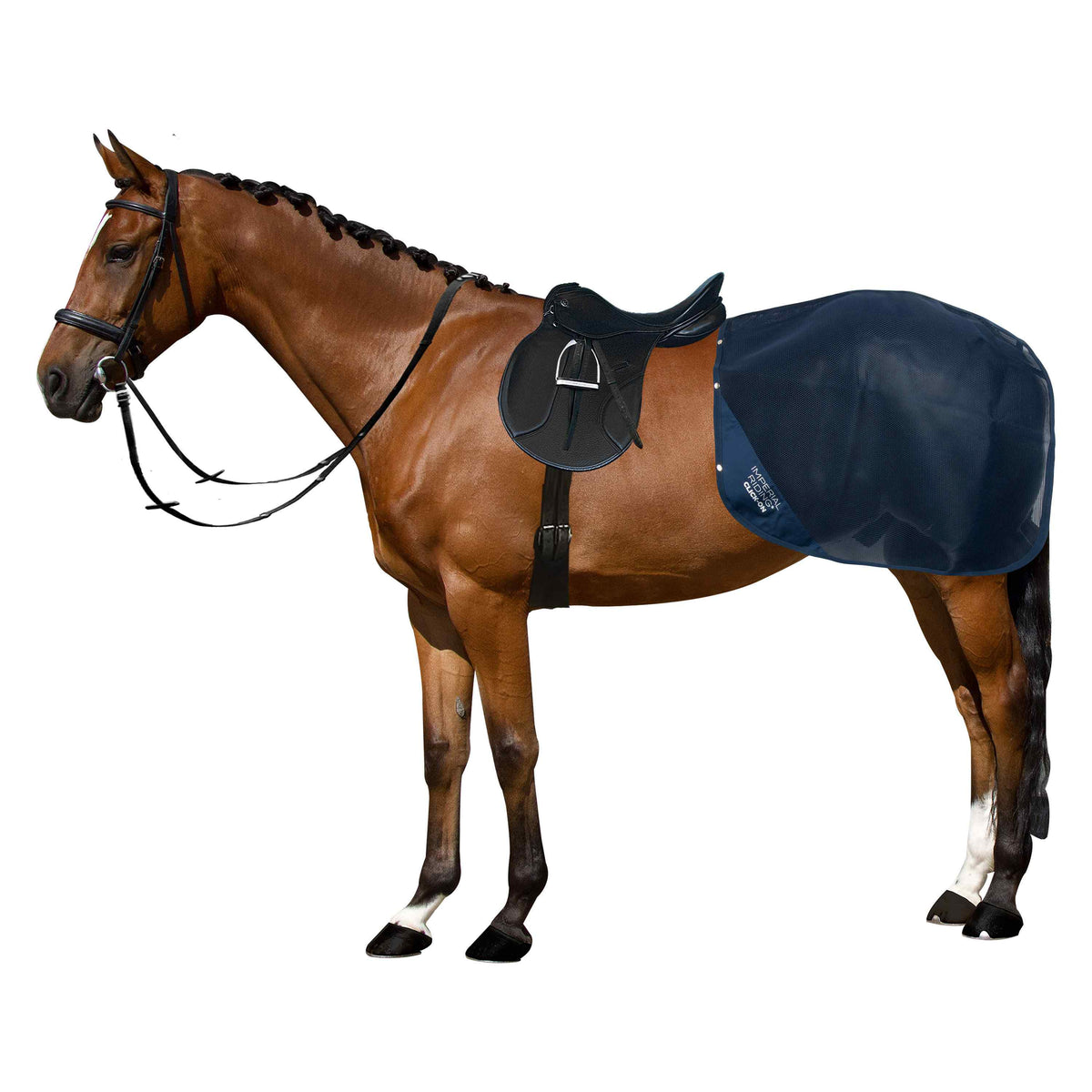 Detachable exercise blanket IRHMultiride