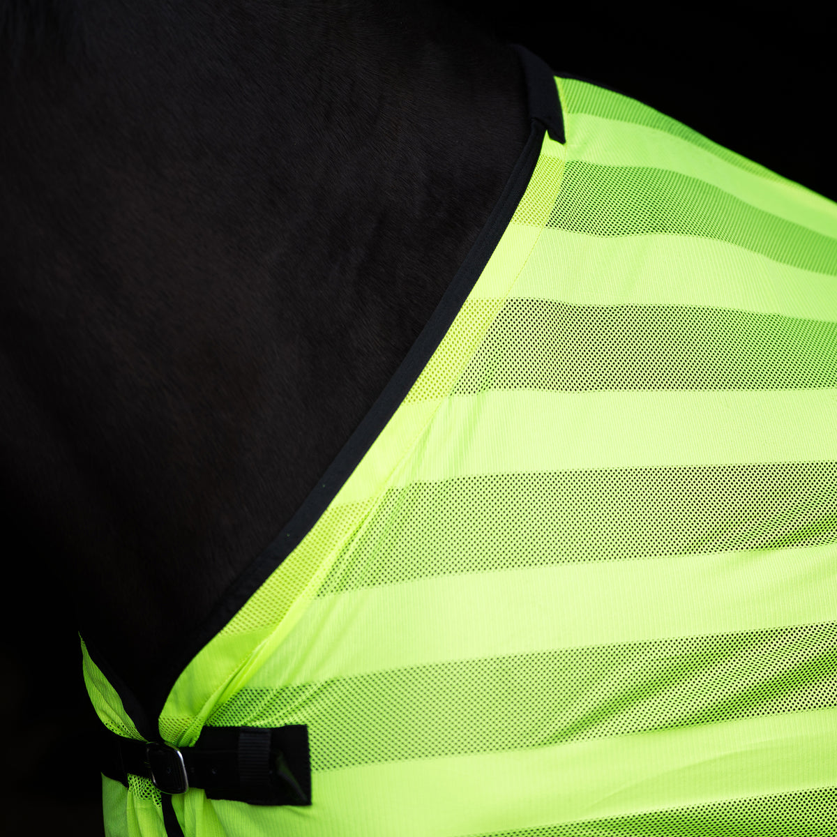 Fly blanket IRHStripe