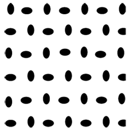 https://www.cavallo.info/media/14/4f/54/1745329195/cavagrip-silikon.png
