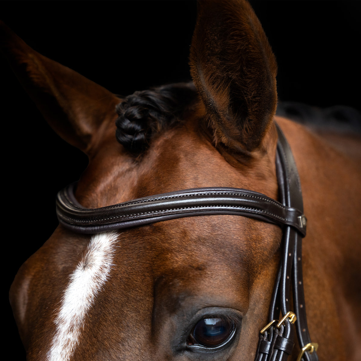 Bridle English combined sleek IRH