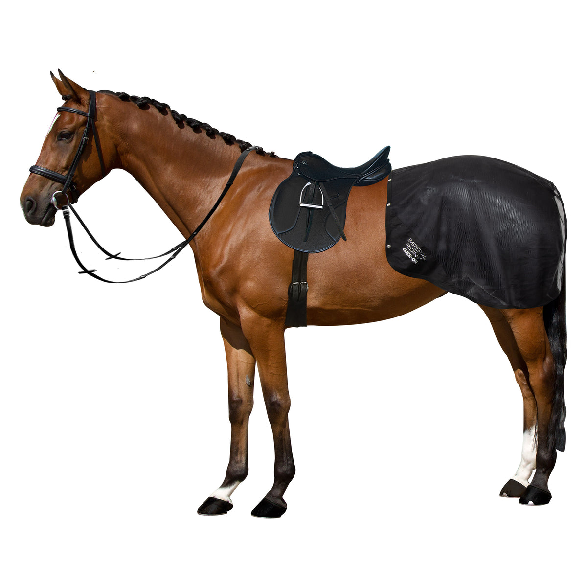 Detachable exercise blanket IRHMultiride