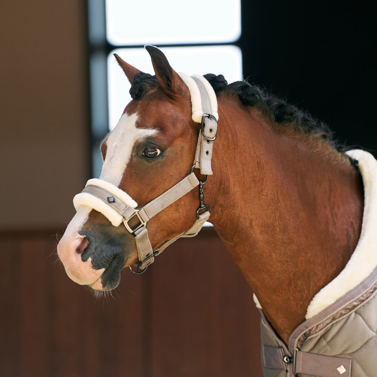Headcollar IRHBandit