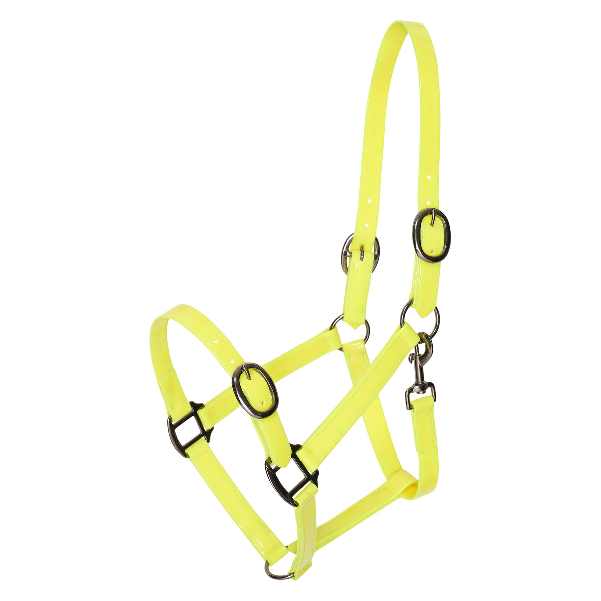 Headcollar IRHSuper-proof Glossy