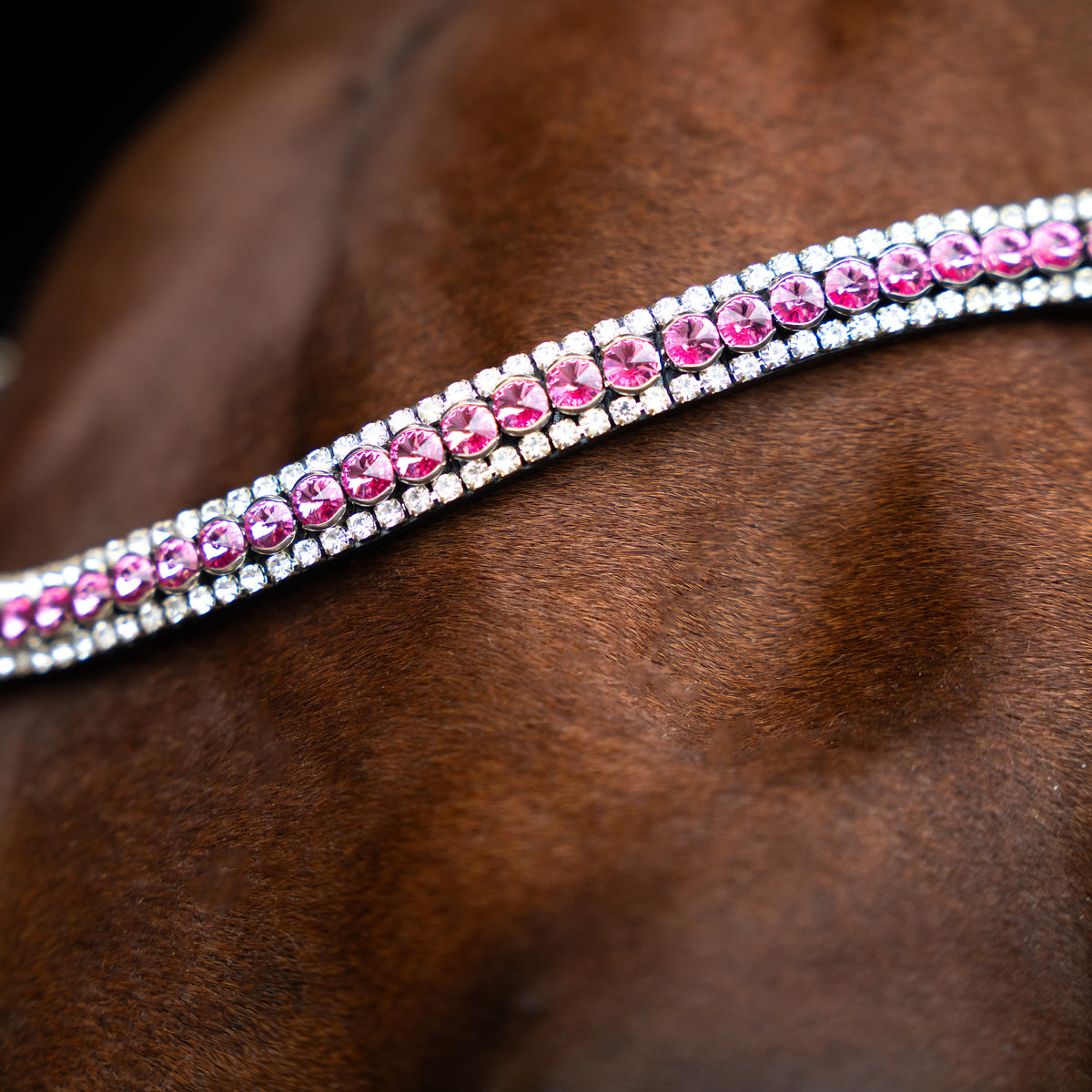 Browband IRHGlimmer XS