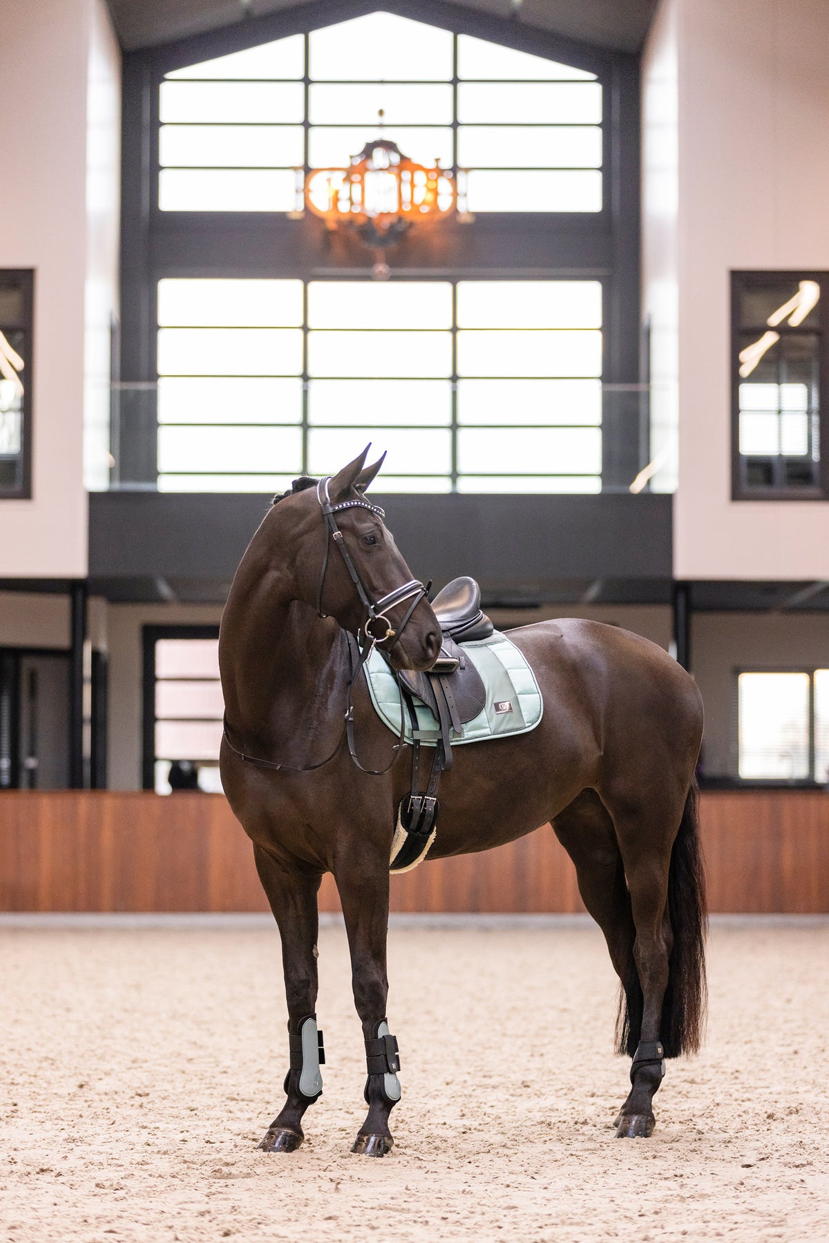 Fetlock boots IRHLovely