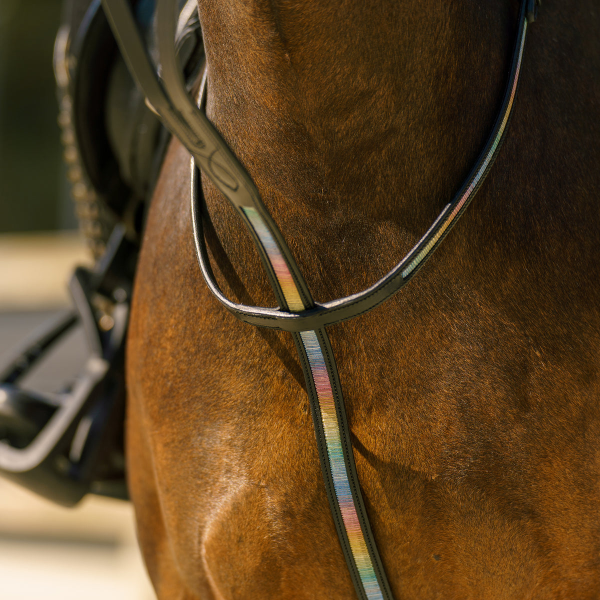 Martingale IRHRainbow