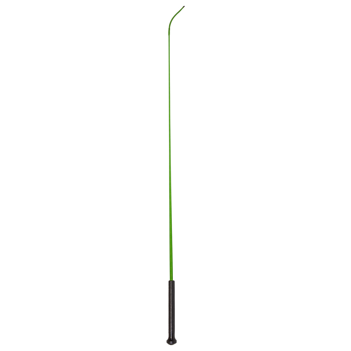 Riding whip IRHEconomic