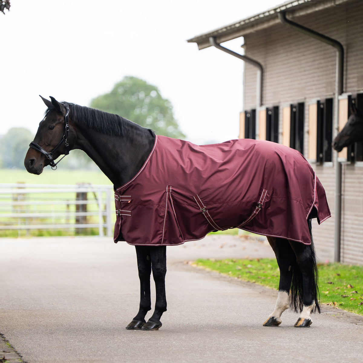 Outdoor blanket IRHBasic without neck 200gr