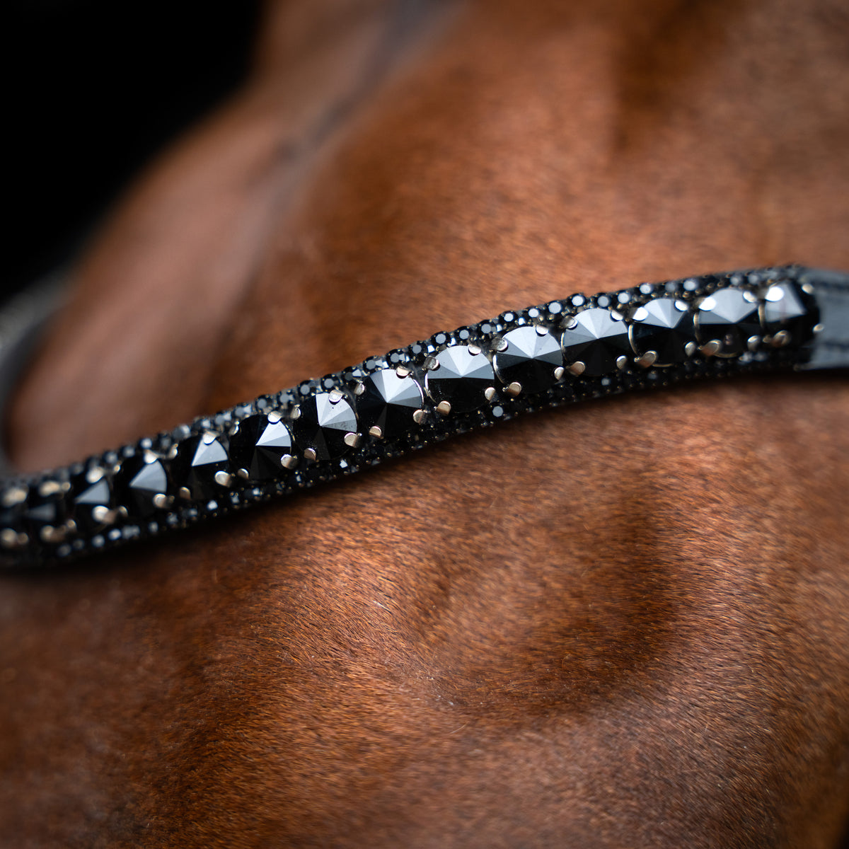 Browband IRHGlimmer XL