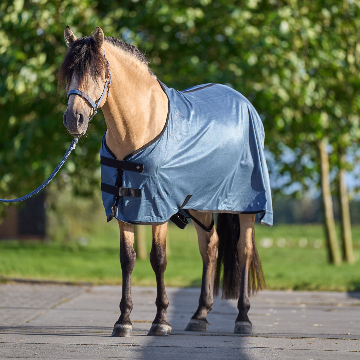 Transport blanket IRHMesh
