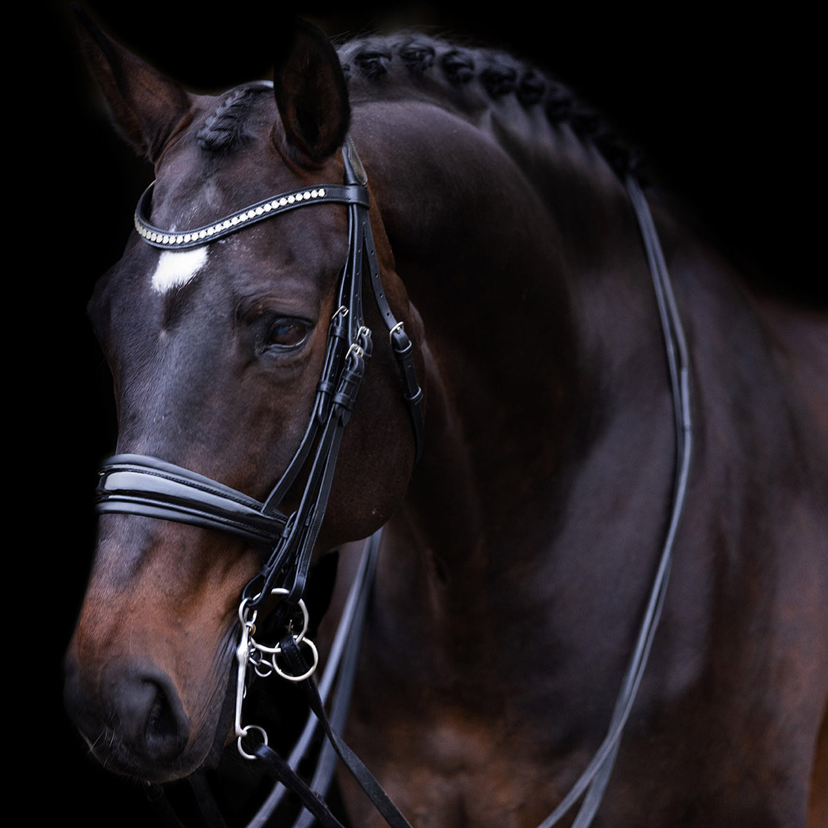 Weymouth bridle IRHFria