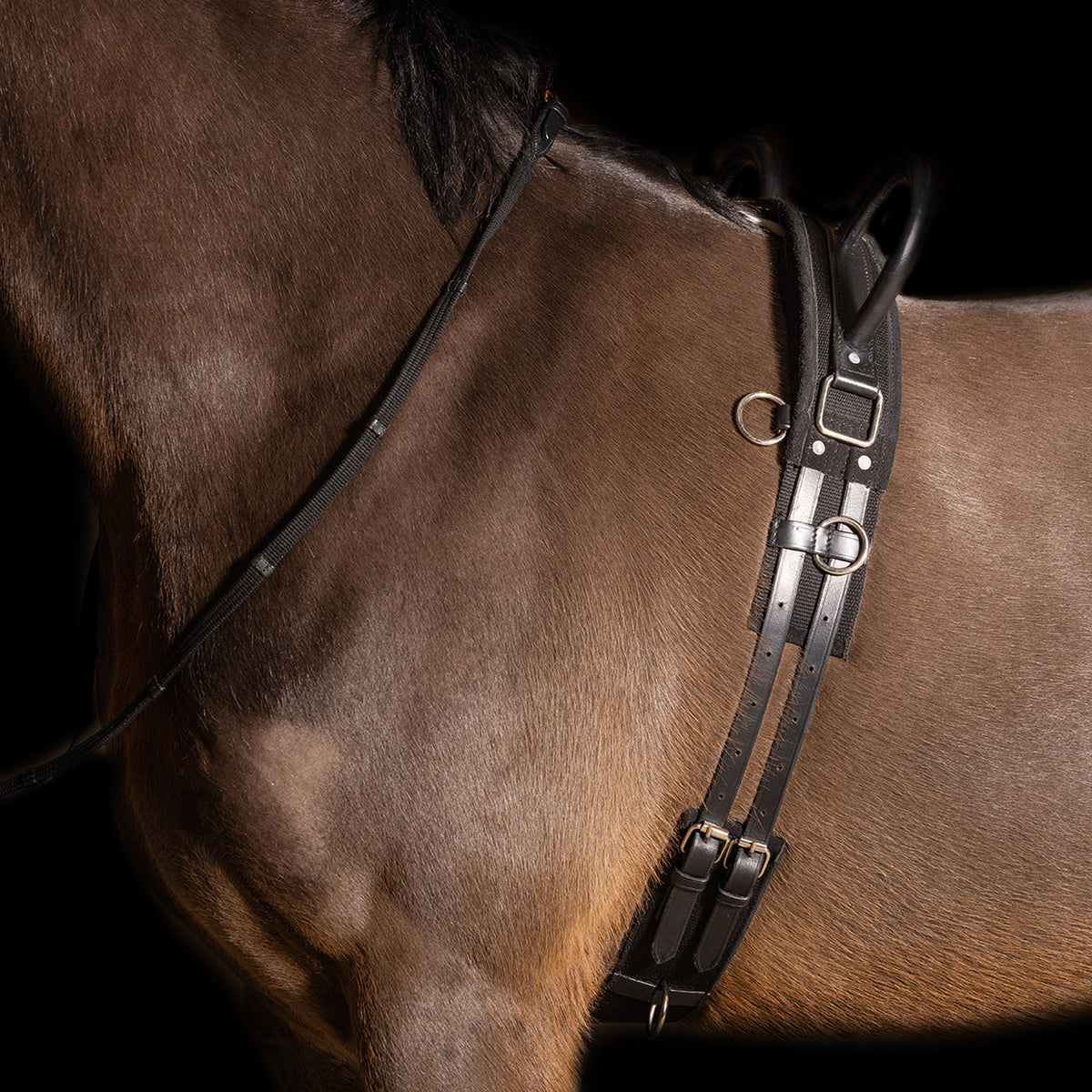 Lunging girth IRHVidal