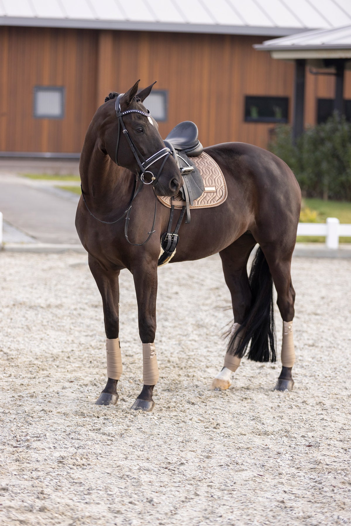 Saddlepad IRHSky DR