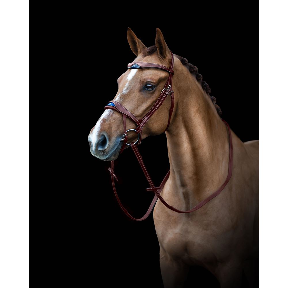 https://www.ikonicsaddlery.com/image?FileId=24244&preset=C_ZOOM