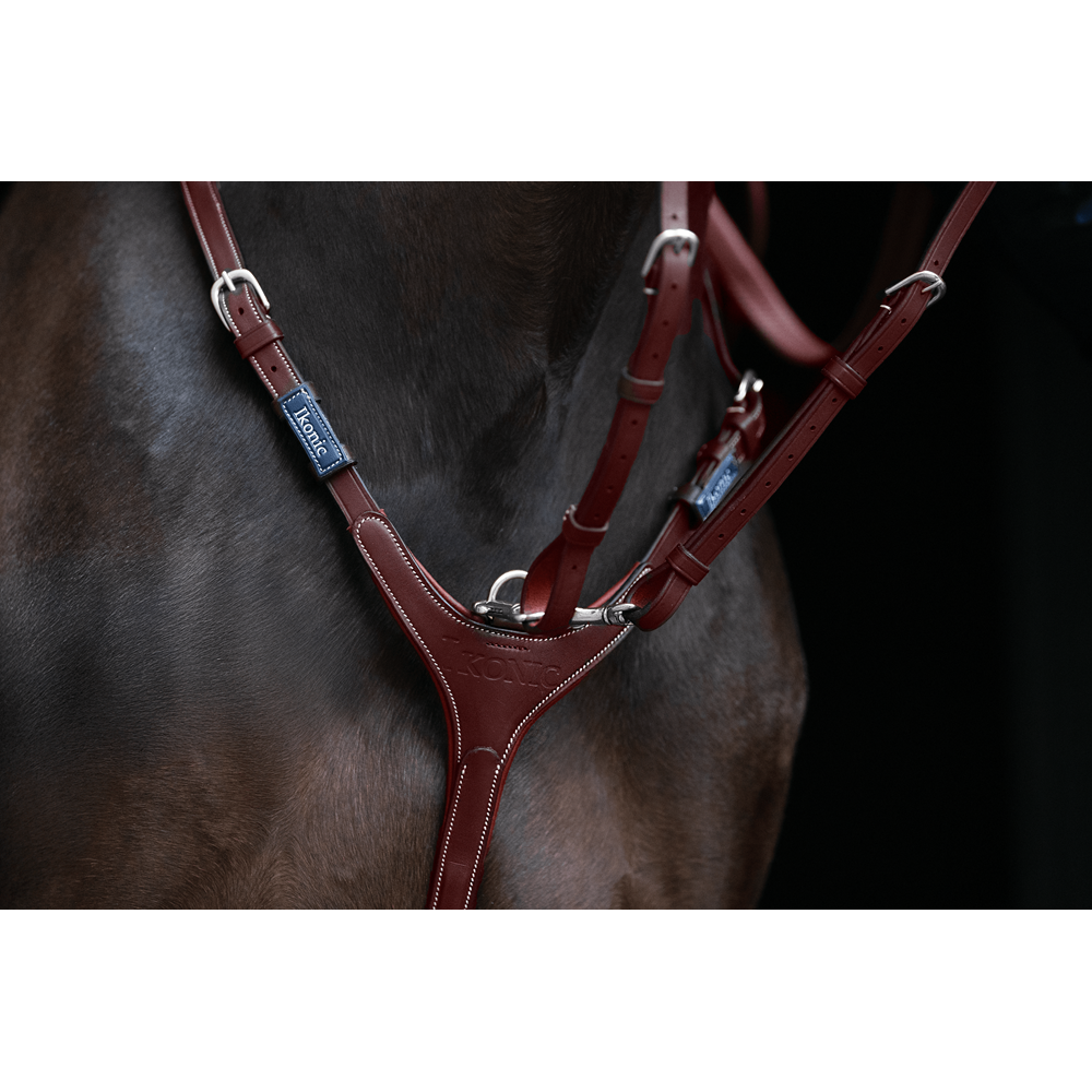https://www.ikonicsaddlery.com/image?FileId=24290&preset=C_ZOOM